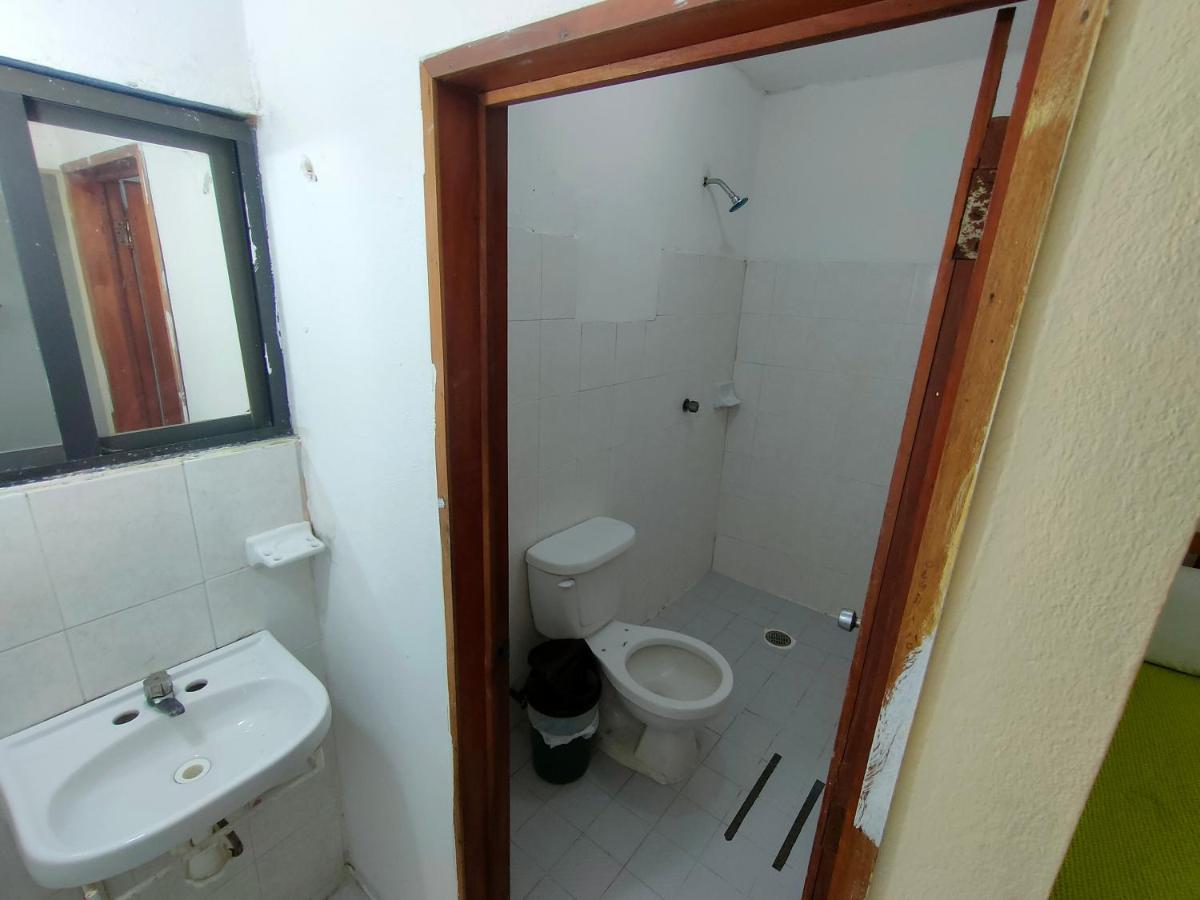 Hostal Pakal King 팔렝케 외부 사진