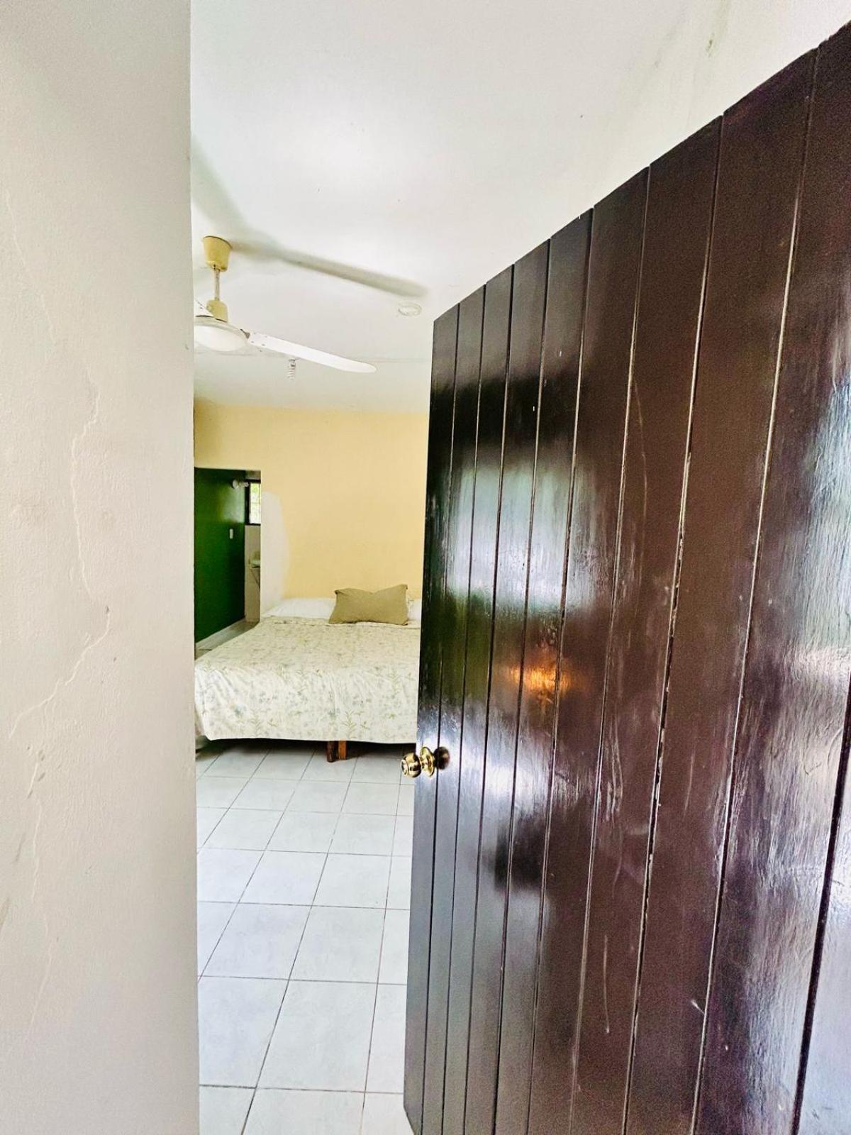 Hostal Pakal King 팔렝케 외부 사진